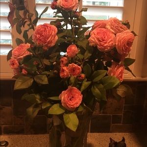 Meet your Posher, Mona